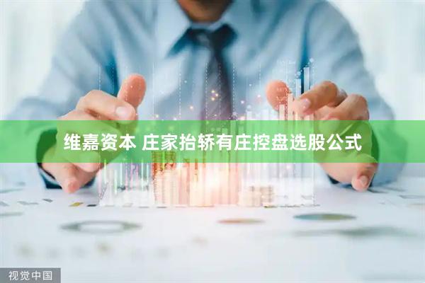 维嘉资本 庄家抬轿有庄控盘选股公式