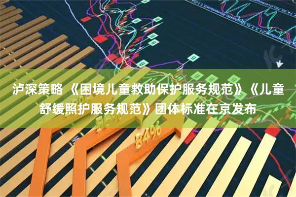泸深策略 《困境儿童救助保护服务规范》《儿童舒缓照护服务规范》团体标准在京发布