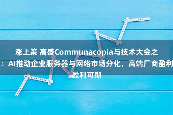 涨上策 高盛Communacopia与技术大会之硬件：AI推动企业服务器与网络市场分化，高端厂商盈利可期