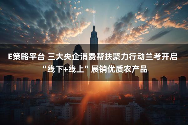 E策略平台 三大央企消费帮扶聚力行动兰考开启 “线下+线上”展销优质农产品