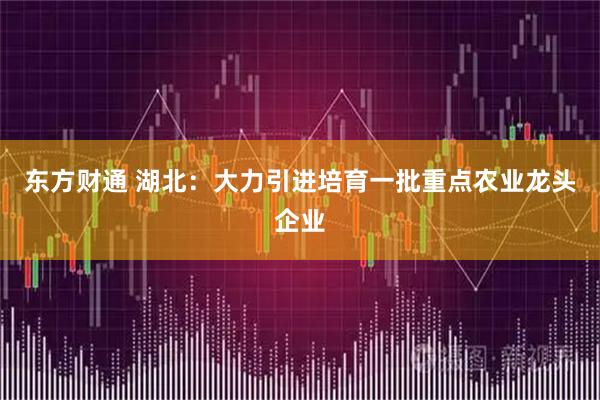 东方财通 湖北：大力引进培育一批重点农业龙头企业