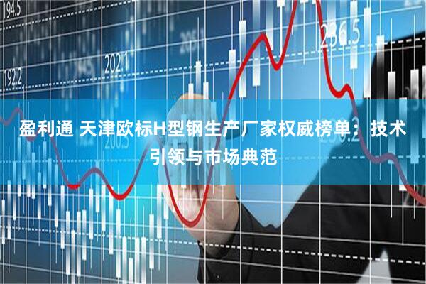 盈利通 天津欧标H型钢生产厂家权威榜单：技术引领与市场典范