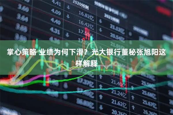 掌心策略 业绩为何下滑？光大银行董秘张旭阳这样解释