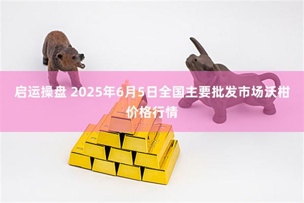 启运操盘 2025年6月5日全国主要批发市场沃柑价格行情