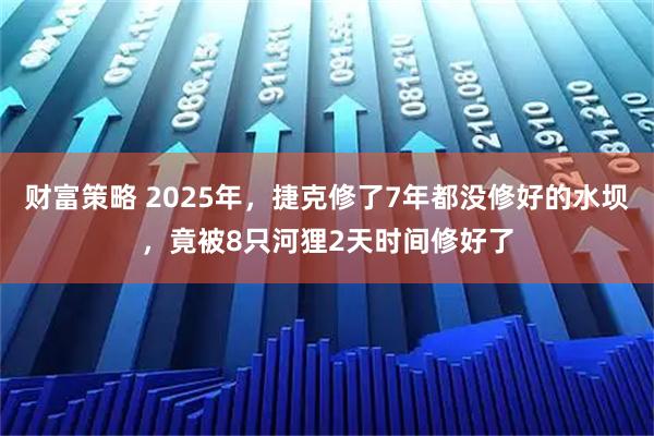 财富策略 2025年，捷克修了7年都没修好的水坝，竟被8只河狸2天时间修好了
