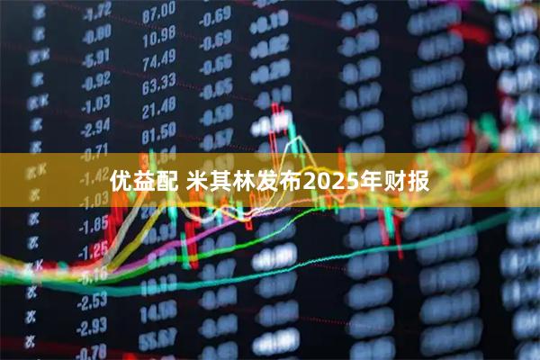 优益配 米其林发布2025年财报
