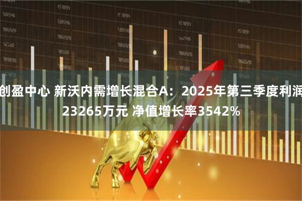 创盈中心 新沃内需增长混合A：2025年第三季度利润23265万元 净值增长率3542%